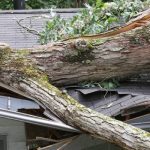 Storm Damage Repair in Winston-Salem, North Carolina