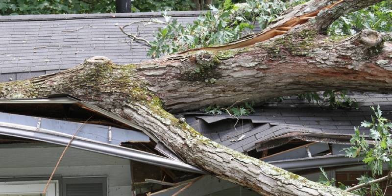Storm Damage Repair in Winston-Salem, North Carolina