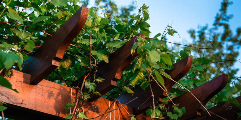 How to Get the Most Out of Your Outdoor Pergola